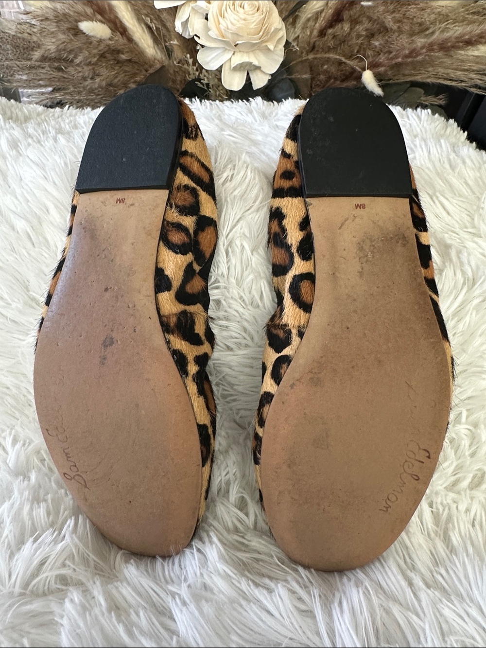 Sam Edelman Leopard-Print Felicia Ballet Flats in Tan and Black - Picture 6 of 8